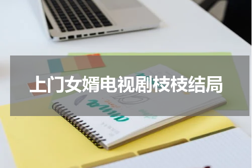 上门女婿电视剧枝枝结局