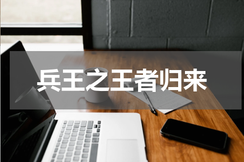 兵王之王者归来