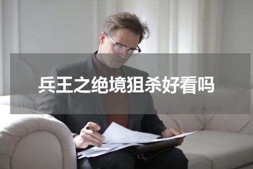 兵王之绝境狙杀好看吗