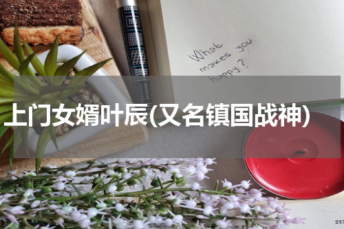 上门女婿叶辰(又名镇国战神)