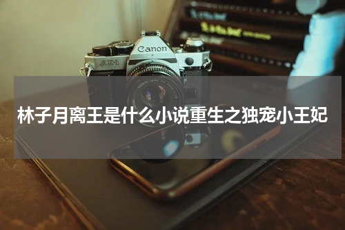 林子月离王是什么小说重生之独宠小王妃