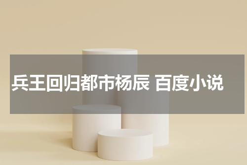 兵王回归都市杨辰 百度小说
