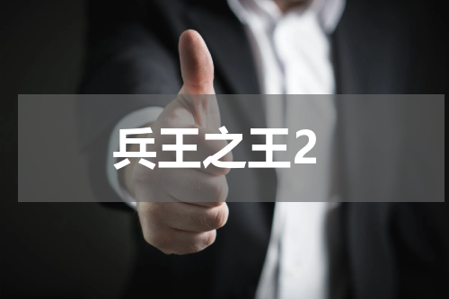 兵王之王2