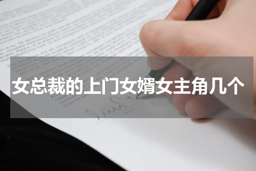 女总裁的上门女婿女主角几个