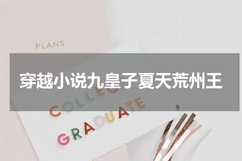 穿越小说九皇子夏天荒州王
