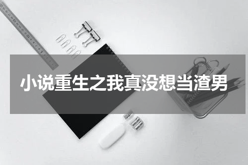 小说重生之我真没想当渣男