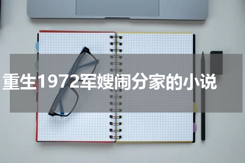 重生1972军嫂闹分家的小说