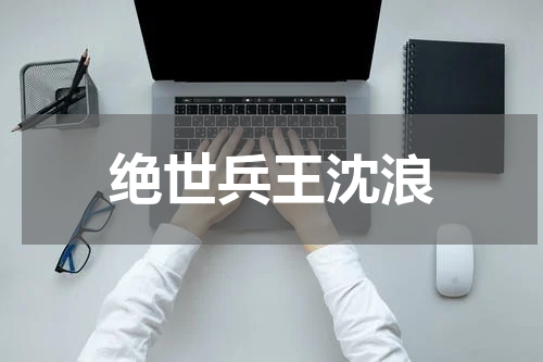 绝世兵王沈浪