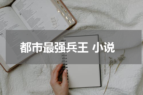 都市最强兵王 小说