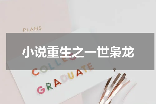 小说重生之一世枭龙