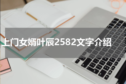上门女婿叶辰2582文字介绍