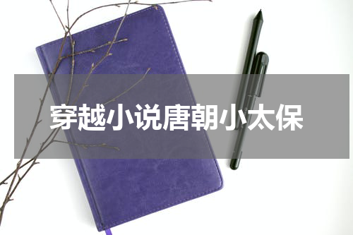 穿越小说唐朝小太保