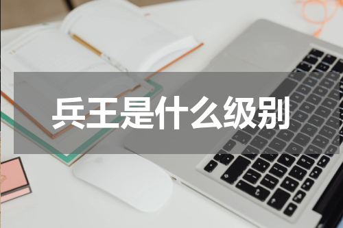 兵王是什么级别