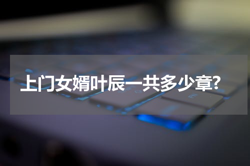 上门女婿叶辰一共多少章?