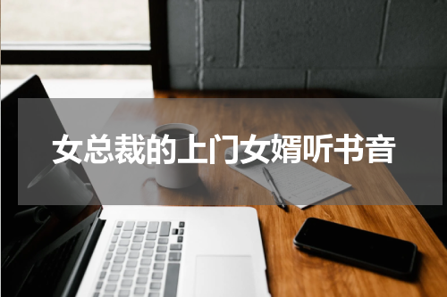 女总裁的上门女婿听书音