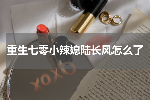 重生七零小辣媳陆长风怎么了