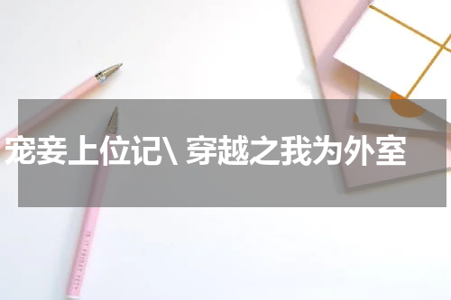 宠妾上位记\ 穿越之我为外室