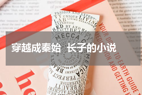 穿越成秦始  长子的小说