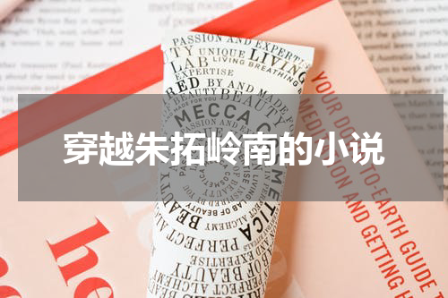 穿越朱拓岭南的小说