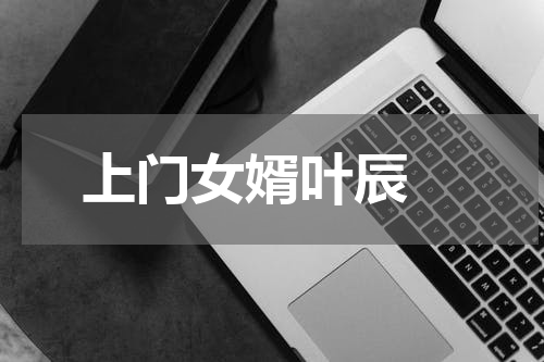 上门女婿叶辰 