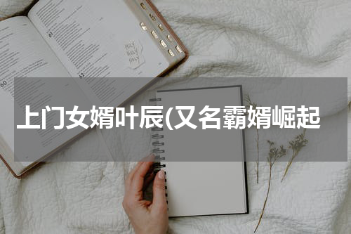 上门女婿叶辰(又名霸婿崛起
