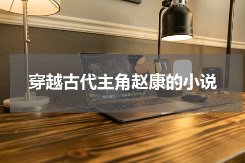 穿越古代主角赵康的小说