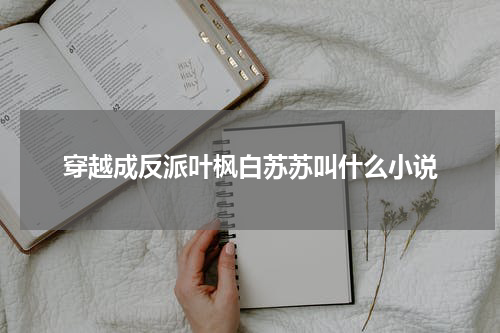 穿越成反派叶枫白苏苏叫什么小说