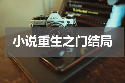 小说重生之门结局