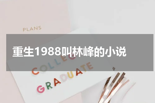 重生1988叫林峰的小说