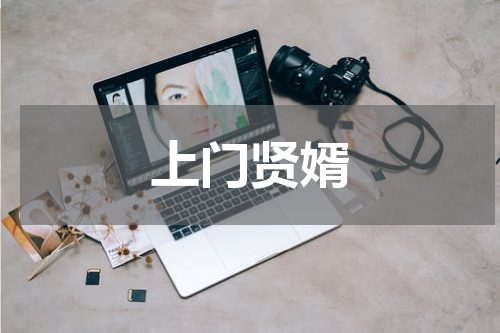 上门贤婿