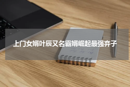 上门女婿叶辰又名霸婿崛起最强弃子