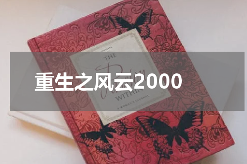 重生之风云2000