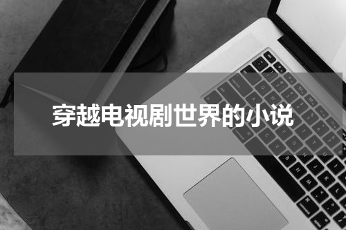 穿越电视剧世界的小说