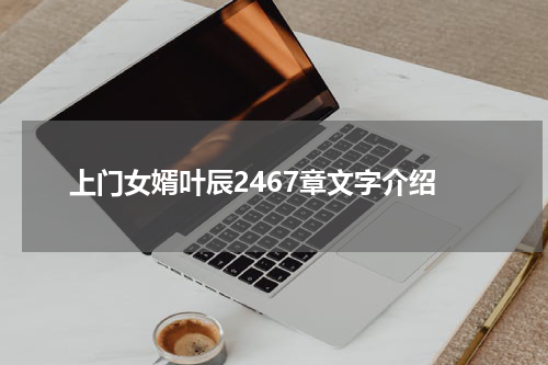 上门女婿叶辰2467章文字介绍