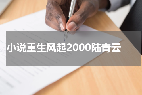 小说重生风起2000陆青云