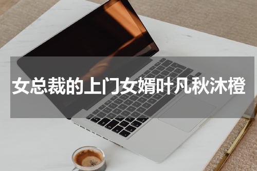女总裁的上门女婿叶凡秋沐橙