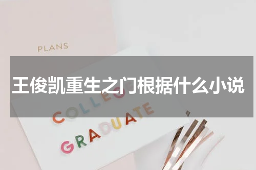 王俊凯重生之门根据什么小说
