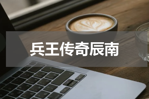 兵王传奇辰南