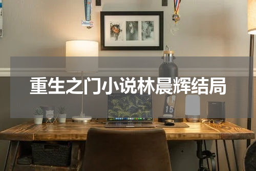 重生之门小说林晨辉结局