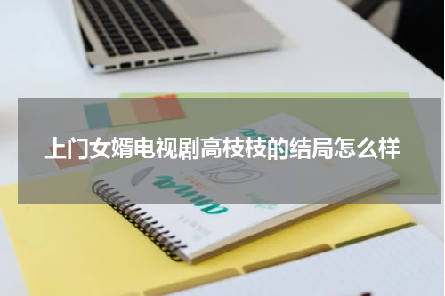 上门女婿电视剧高枝枝的结局怎么样