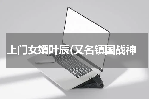 上门女婿叶辰(又名镇国战神