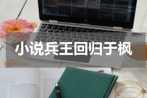 小说兵王回归于枫