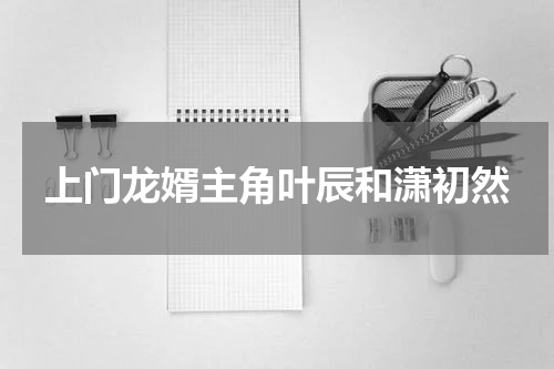 上门龙婿主角叶辰和潇初然