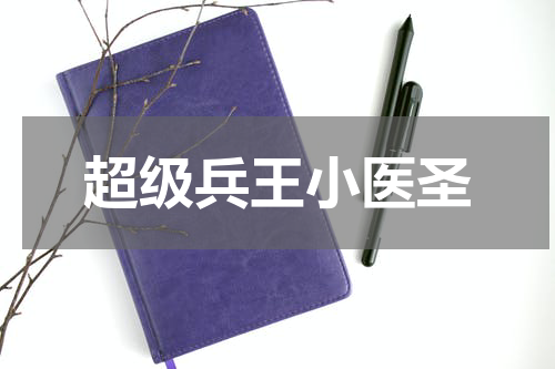 超级兵王小医圣