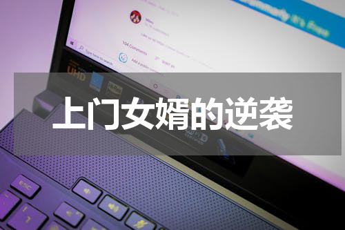 上门女婿的逆袭