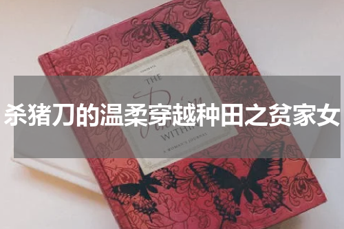 杀猪刀的温柔穿越种田之贫家女