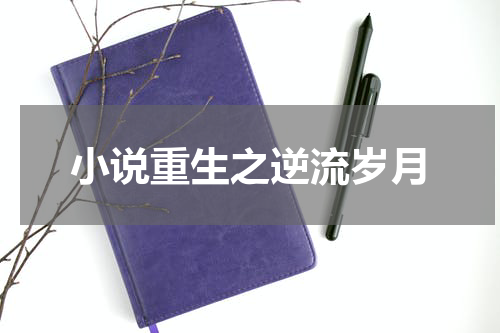 小说重生之逆流岁月