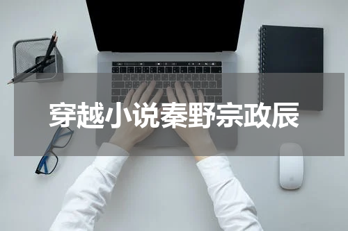穿越小说秦野宗政辰