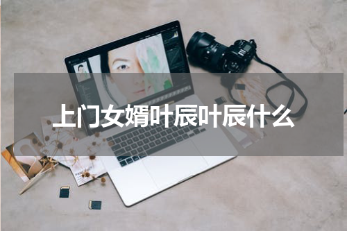 上门女婿叶辰叶辰什么