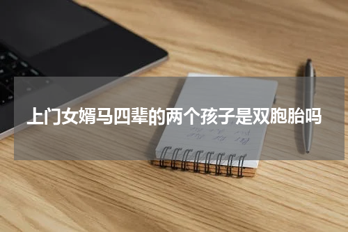 上门女婿马四辈的两个孩子是双胞胎吗